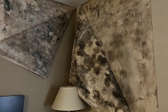 Mold Behind Wallpaper