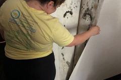 Mold Behind Wallpaper