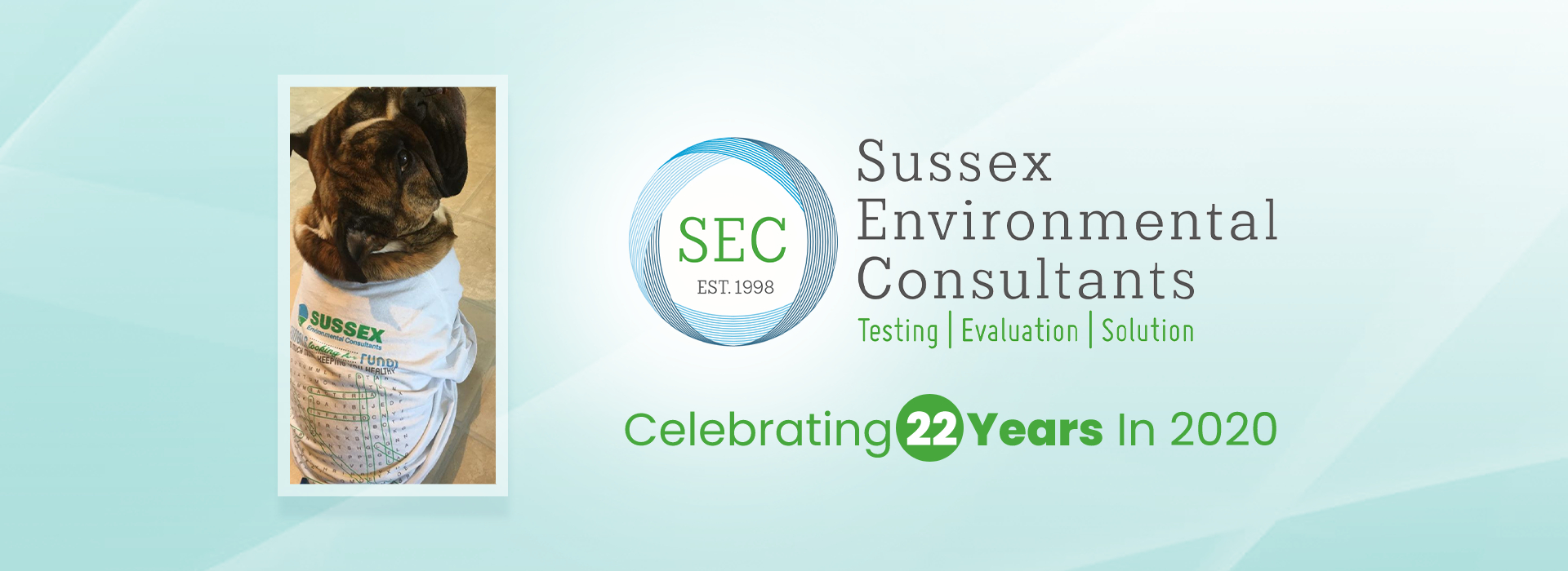 Sussex Environmental